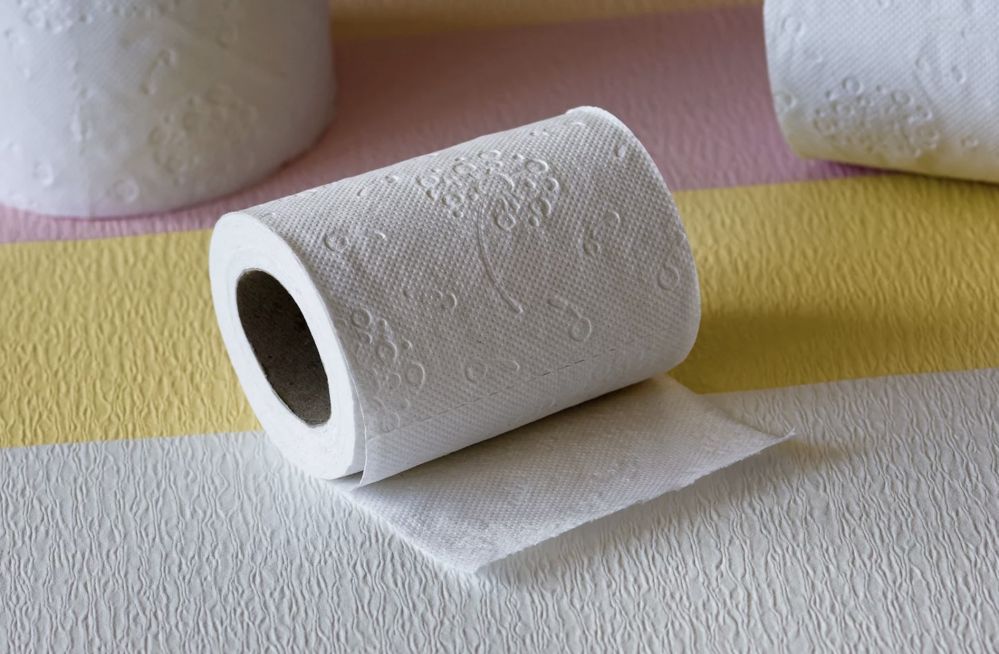 How to make your own toilet paper