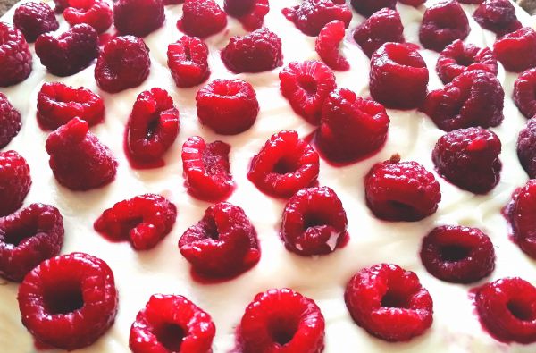 Sweet Lady Jane's Fresh Raspberry Cheesecake with Hazelnut Crust