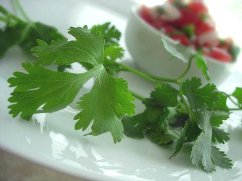 Fresh and Simple Pico de Gallo