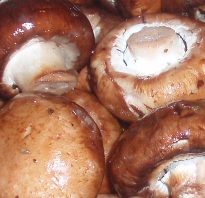 Stuffed Mushrooms