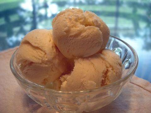 Creamy Vanilla Ice Cream