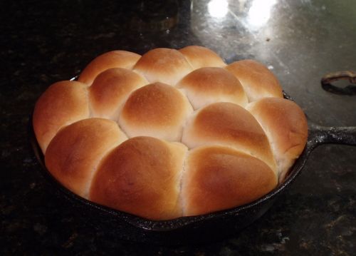 Classic Dinner Rolls