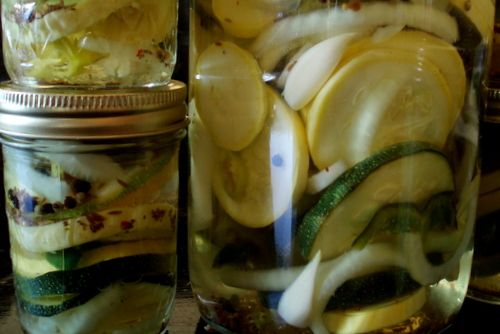 Summer Squash Pickles